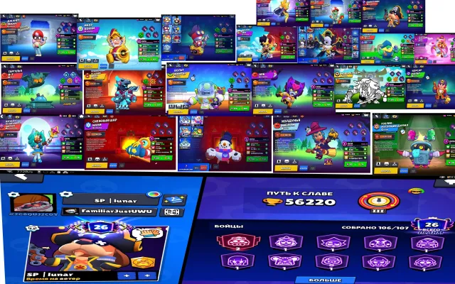 Inserted all my rare and valuable skins, 56220 trophies, 106 brawlers, 26 primes