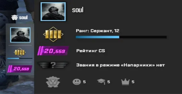 ⚫AUTO-DISTRIBUTION⚫CS2 Account⚫PREMIER⚫20.559 cs rating⚫10 lvl Steam⚫PRIME⚫, Sale, Empty, Yes PRIME, 20559 CS Rating, Competitive
