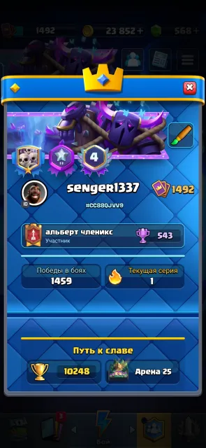 Developed account suitable for starting the game, Arena 25, Level 1500, 10300 trophies, 122 cards, 22 legendaries, No