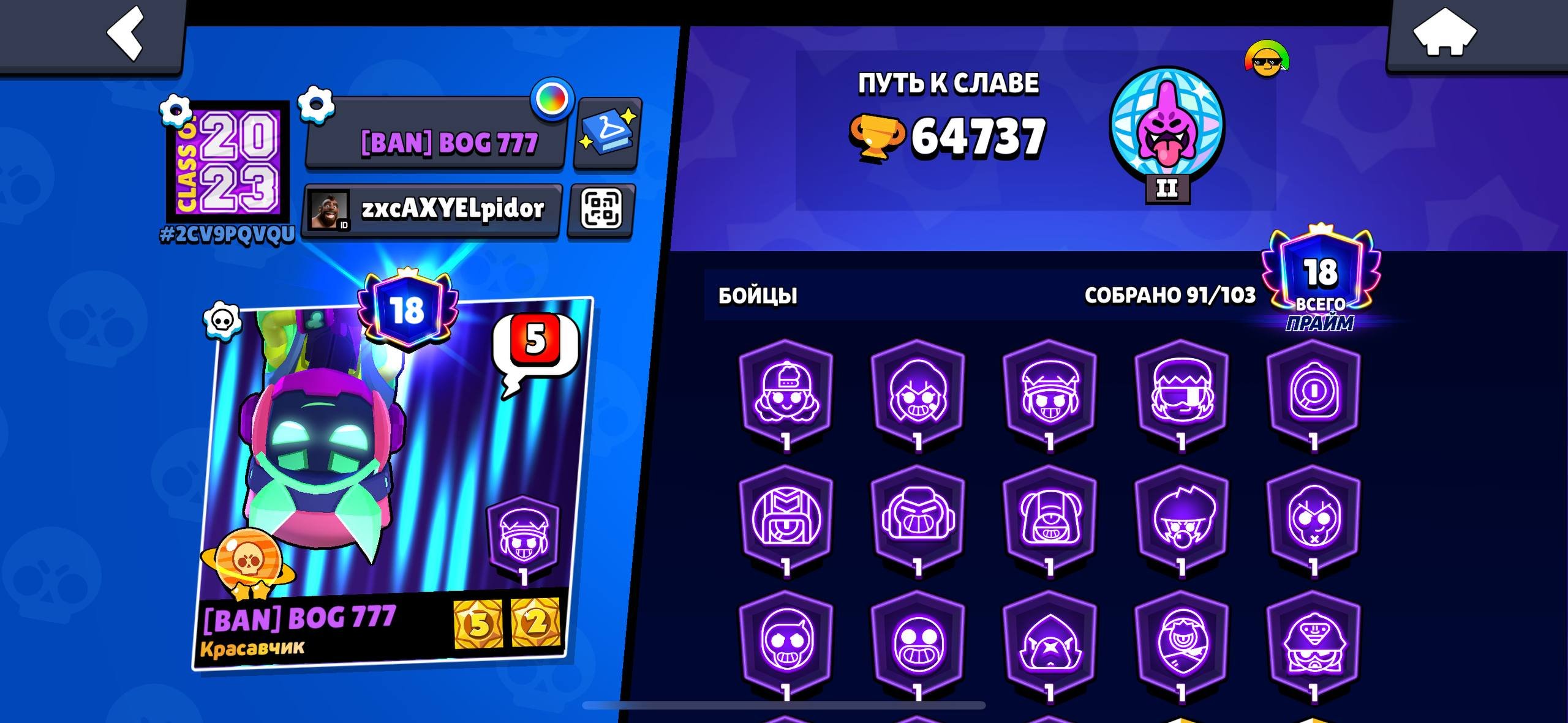 2019 years, trophies 64737, brawlers 91, primes 18