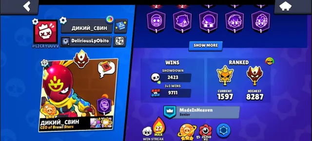 🔥 Brawl Stars | 68,605 trophies | ALL BRAWLERS | RARE SKINS, 68605 trophies, 107 brawlers, 41 primes