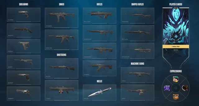 Knife "Luxe" 23LvL | Ranked: IRON 3 | Change e-mail, Sale, Iron 3, Agents: 10, Skins: 1