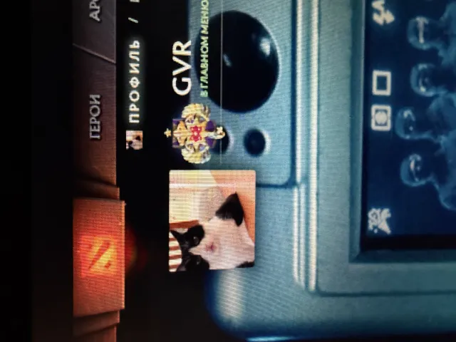 Selling my personal Dota 2 account (NEGOTIABLE) arcana for Shaker, Razor, Void, etc., Sale, 3000 MMR, 5000 Honesty, 5000 Politeness, 2000 matches, 2031 hours