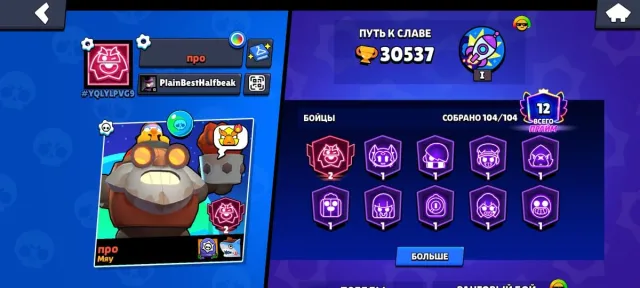 90,000 coins, 60,000 power points, 129 gems, all fighters, worldwide fame 3, trophies 30572, brawlers 104, primes 12
