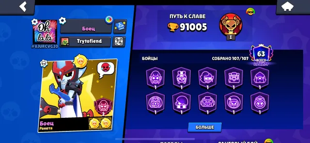 Old account from 2019, many leveled characters, many skins, 91000 trophies, 107 brawlers, 63 primes
