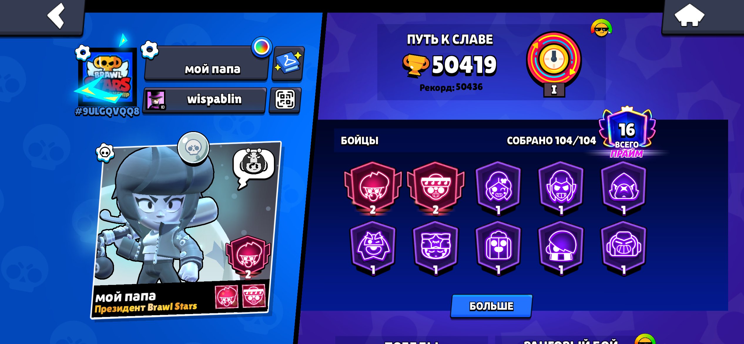 the first thing you should know about this project wywtwywywy, trophies 50419, brawlers 104, primes 16