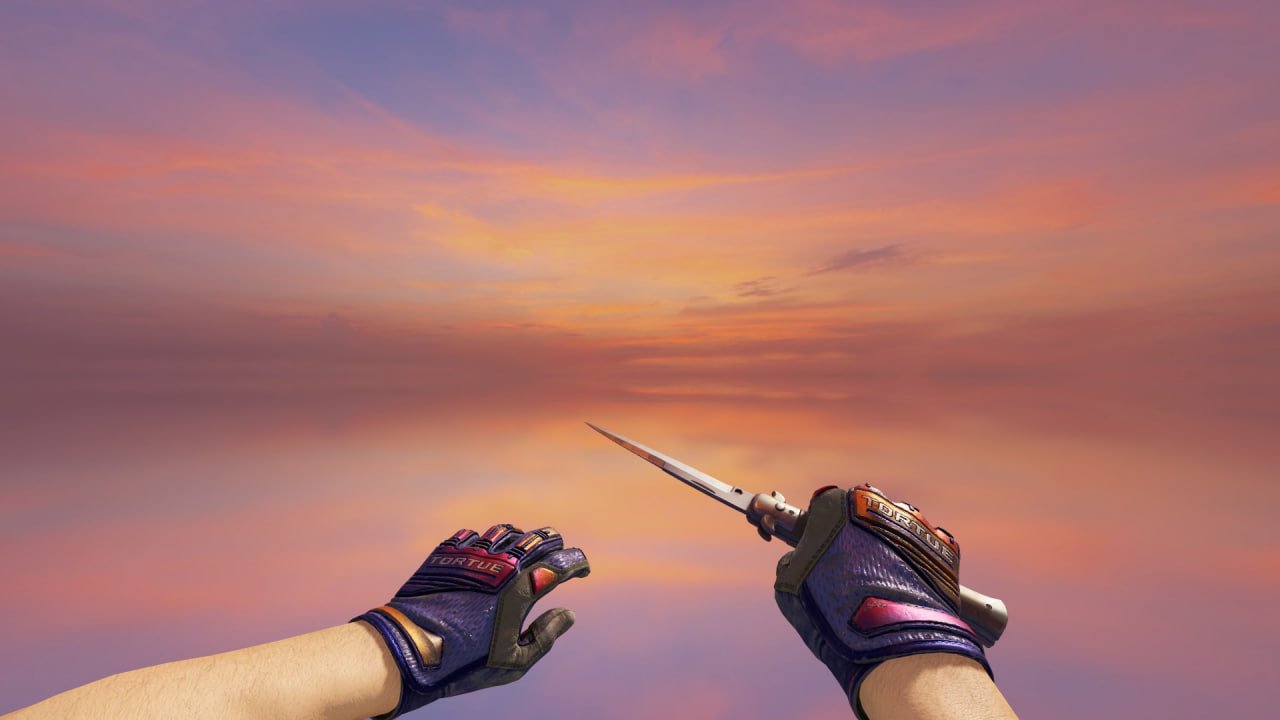 𝑽𝑰𝑷 🟣PURPLE🟣🏠FOR HOME🏠❗KNIFE (Stiletto) + GLOVES + SKINS💰INV 60k + 🕒6 HOURS🕒🎁 + 1 HOUR FOR REVIEW🎁, Rent, Available, Yes PRIME, 8000 CS Rating, Competitive