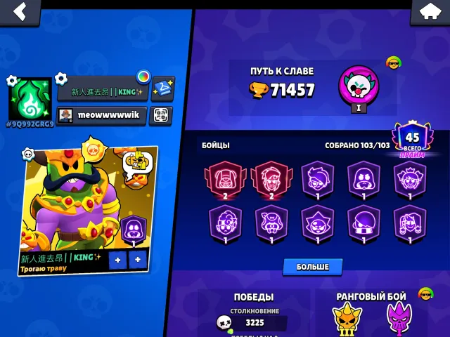 FAT ACC. 382 SKINS. ALL LEGS!, trophies 71457, brawlers 103, primes 45
