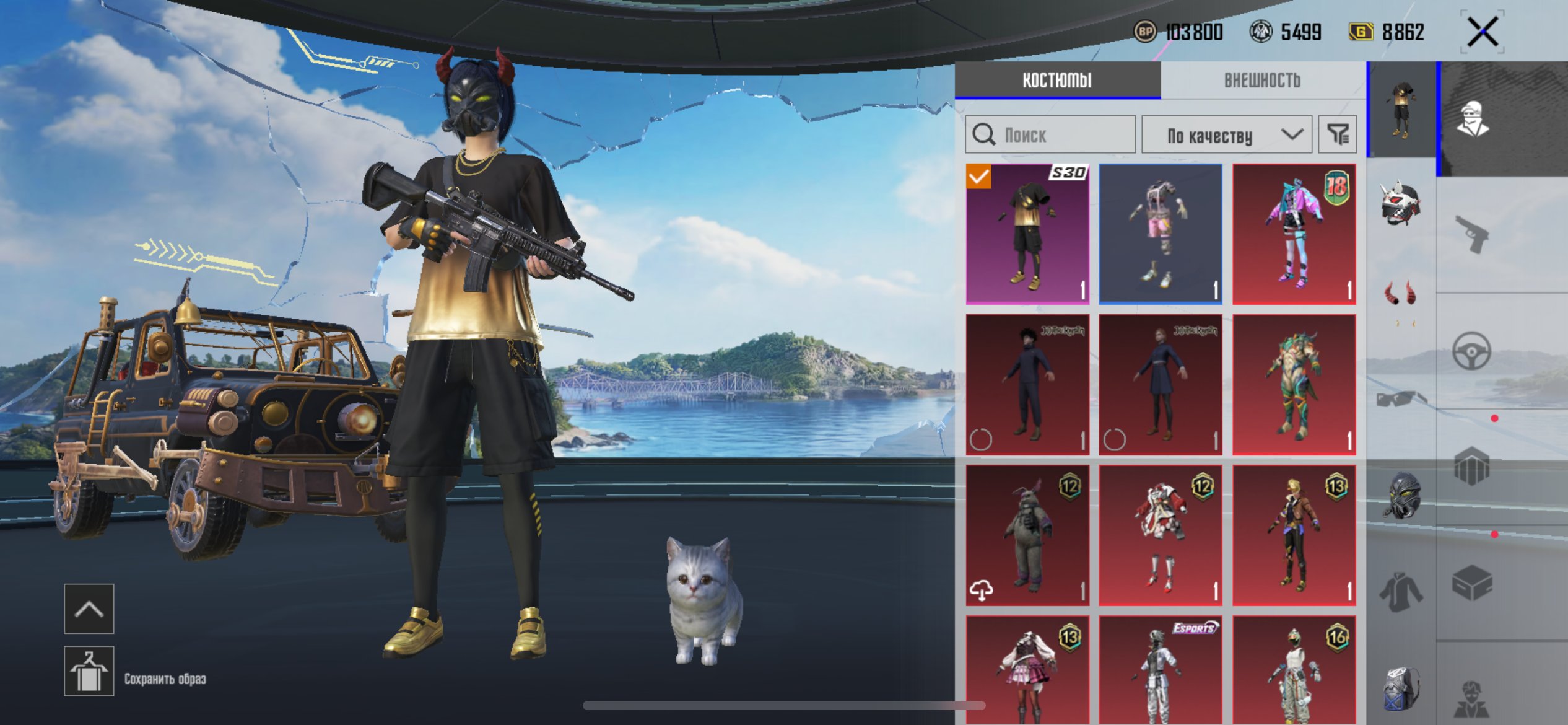 Good account, No BATTLEGROUNDS Plus