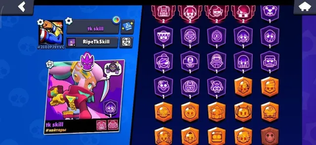 Account only 3 months old, selling because I lost interest in the game, 39600 trophies, 79 brawlers, 32 primes