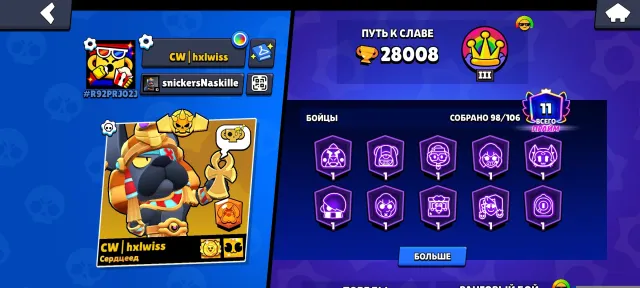 Usually an account for a base/twink, 28000 trophies, 98 brawlers, 11 primes