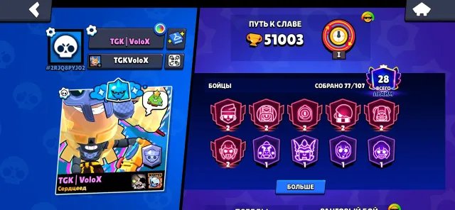 🥷77/107🥷11 - 11LVL🌿6 - SECONDARY PRIMES🌿UNDER BASE🌿Firstmail, 51003 trophies, 77 brawlers, 28 primes