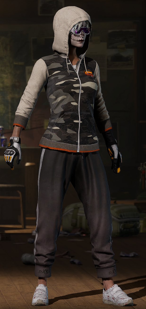 PGI S HAIR, SWAGGER, PAI JACKET, OLD & PROGRRESIVE GUN, Yes BATTLEGROUNDS Plus