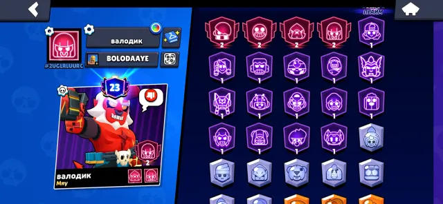 4 2primes, 34647 trophies, 79 brawlers, 23 primes