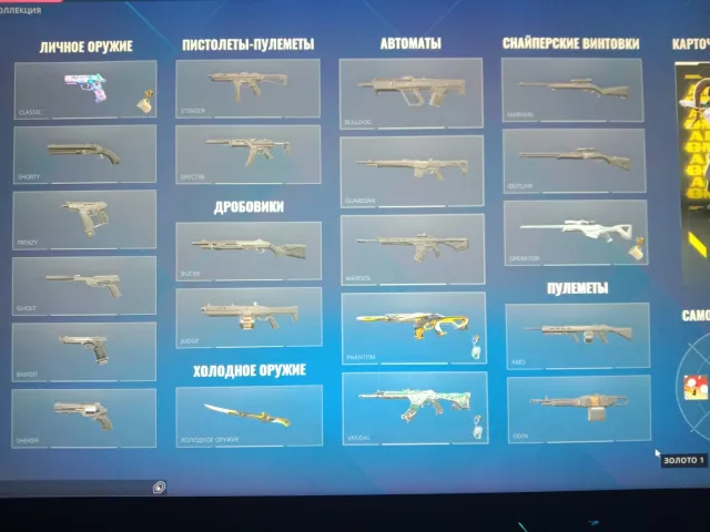 2872 Valorant Points, Champions 2024 Collection, Operator "Ion", Vandal "Oni". Sale, Gold 1, Agents: 13, Skins: 5