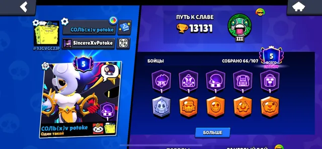 179 gems on balance, many beautiful skins, 13131 trophies, 66 brawlers, 5 primes