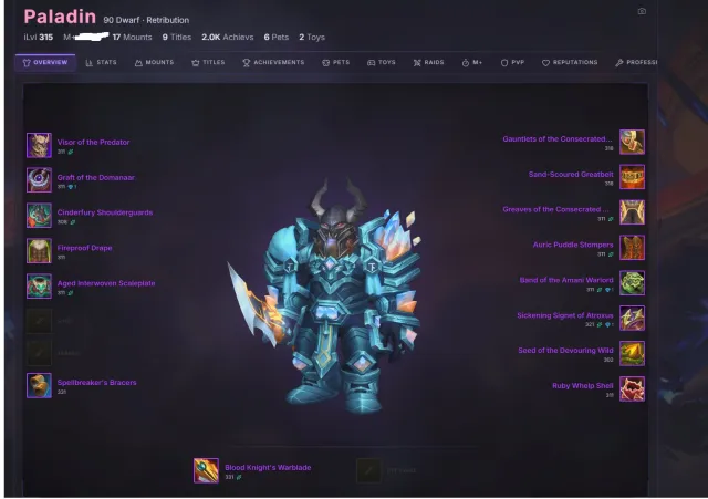 320 ilvl Retribution Paladin - PvE Ready - WoW Midnight season 2 + 90 Shaman Full Acces, 90 уровень, Дворфы, Паладин