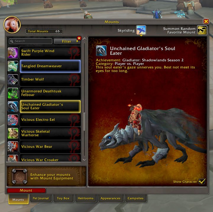 Fel Drake/ Fel Dragon/ and Unchained gladiator's Soul Eater mount, 80 level, Human, Paladin