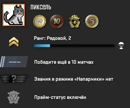 RANKING OTWARTY | +PRIME CS 2 | NIE SMURF PUL | PEŁNE PRZEPISANIE | GWARANCJA 100%, Sprzedaż, 1500 MMR, 6097 uczciwości, 6097 grzeczności, 931 meczów