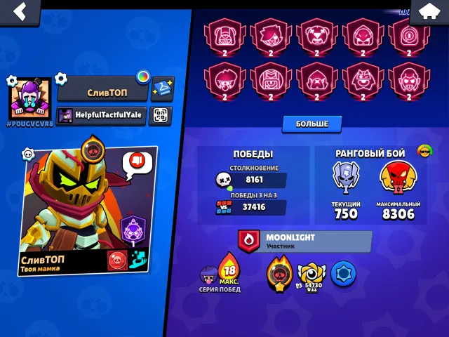 Account developed by myself since 2019, many skins also bought, but I don't remember which ones, 124208 trophies, 104 brawlers, 94 primes