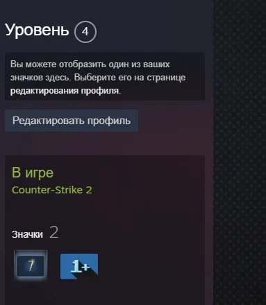 🌺【CS:GO 2 with PRIME + 2 medals / medal 100 hours】🌺PREMIER OPENED🌺CS 2 PRIME🌺20+ LVL CS2🌺, Sale, Inventory empty, Has PRIME, 20 CS Rating