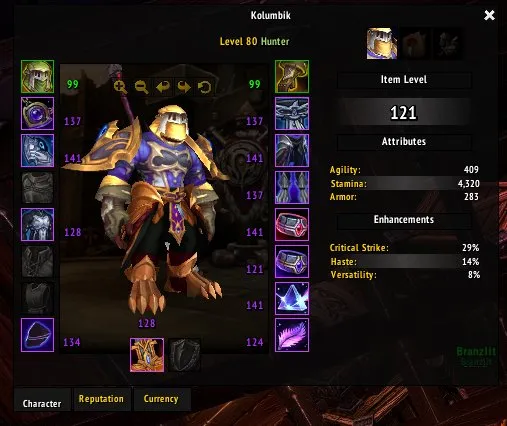 WTS account with 9 hunters. Main 293.5 ilvl, 90 level, Orc, Hunter