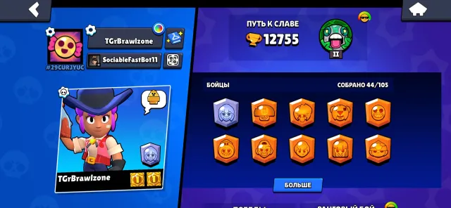 Fat account 2019 years many Old skins see description, 12633 trophies, 44 brawlers