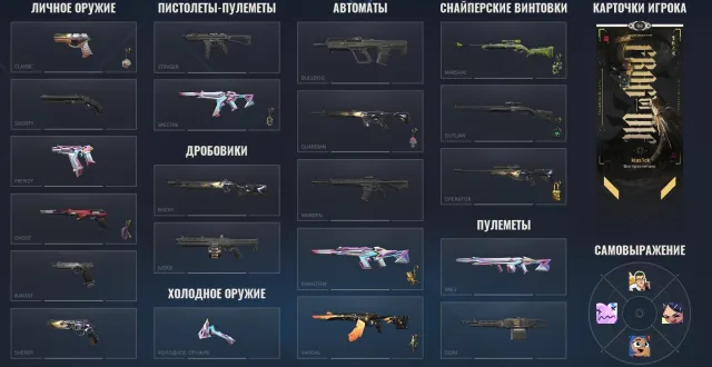 Full account re-linking, (Vandal Revenge of Dolmira) and full BB skins, Sale, Silver 3, Agents: 19, Skins: 11