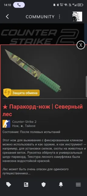 there is an arcana for Void Spirit and a knife in CS2 no limit of $5, Sale, 9000 honor, 9000 politeness, 12 matches