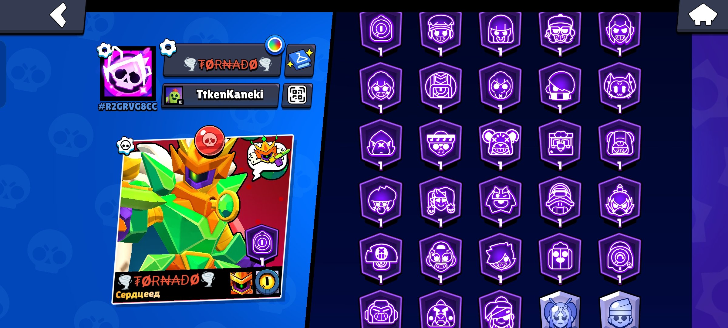 🔥 TOP ACCOUNT 43K+ CUPS | 104/104 FIGHTERS, READ THE DESCRIPTION RIGHT AWAY, trophies 43145, brawlers 104, primes 28
