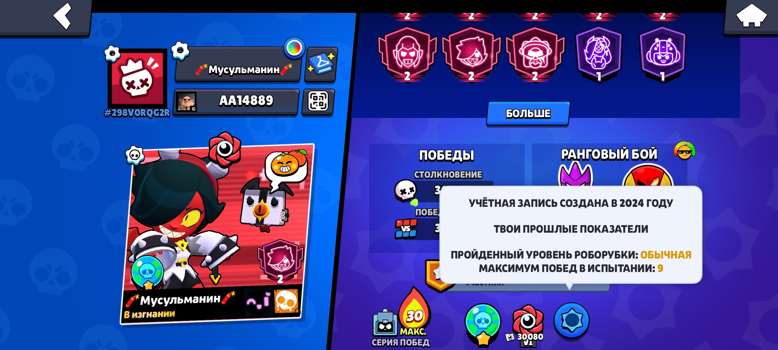 Good acaunt, 2024 years, picture of detail, trophies 73145, brawlers 105, primes 53
