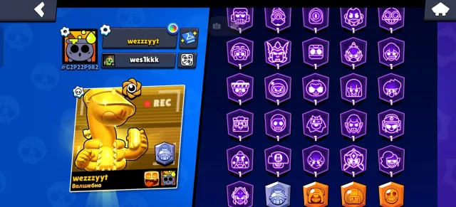🟡⚫ BRAWL STARS 🟡⚫ TOP ACCOUNT 🟡⚫ 35K CUPS 🟡⚫ PERSONAL ACCOUNT | 62 FIGHTER 🟡⚫ LOT OF RESOURCES 🟡⚫, trophies 35023, brawlers 62, primes 26