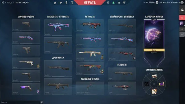 The fattest account🤑personal, and data from the email, 3 knives 15 skins, karambit RGX, Vandal kuronami, Sale, Under calibration, Agents: 12, Skins: 15