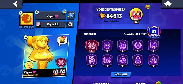 Main account 2 with 15,000 coins, created in 2019, with power level 11, 84,600 trophies, 107 brawlers, 71 primes