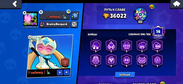 Account with donation❤️, 36000 trophies, 100 brawlers, 14 primes