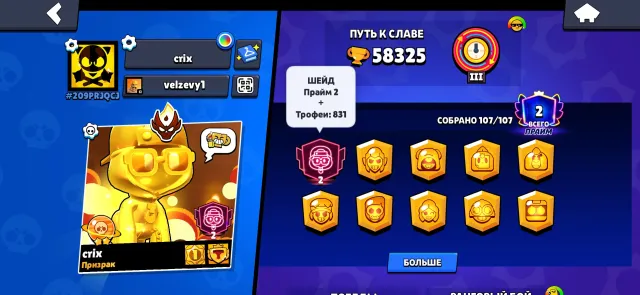 very good account for pushing league and a beautiful profile, 58325 trophies, 107 brawlers, 2 primes