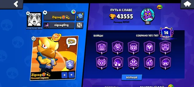 Normal account for a base, 43555 trophies, 107 brawlers, 14 primes