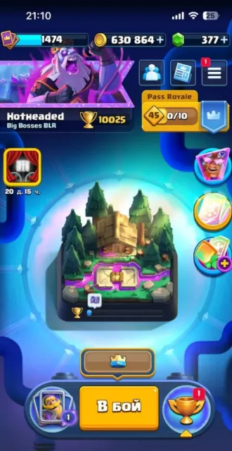 💎☀️ 1 YEAR OF PLAY ☀️ 10 EVO 💎🌸 123/123 CARDS 💎🌸 1x15 , 3x14 , 10x13💎🌸 52 PIN 💎🌸 AUTO-GIVEAWAY🌸💎, 25 arena, 1474 level, 10025 trophies, 123 cards, No