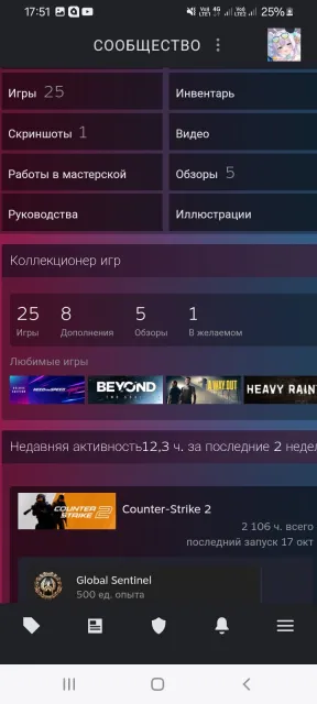 2000+ hours | Inventory $20+ (Trade lock until 25.10) | 25 games | For main / FACEIT, Sale, With inventory, Has PRIME, 13000 CS Rating