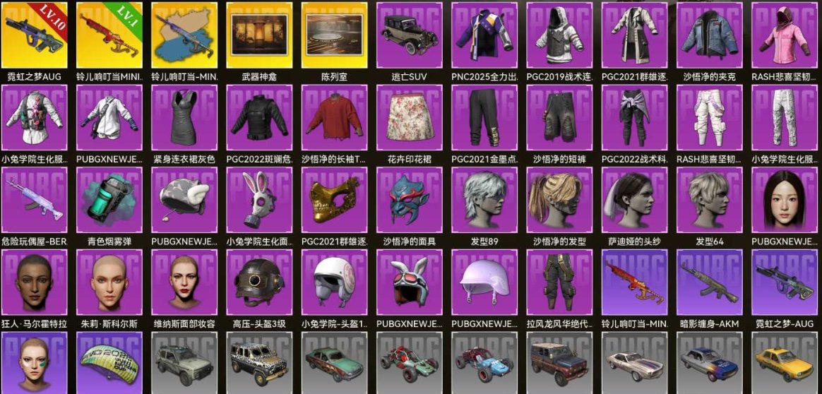 🍳🔥Level 10 Neon Dream AUG + Jingle Bells MINI14🍳🔥, Yes BATTLEGROUNDS Plus