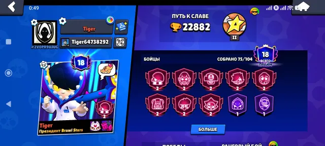 22,882 Trophies | 75 Brawlers | 61,204 Coins | 10,308 Power Points | 138 Gems | 3 Brawl Passes, trophies 22882, brawlers 75, primes 18