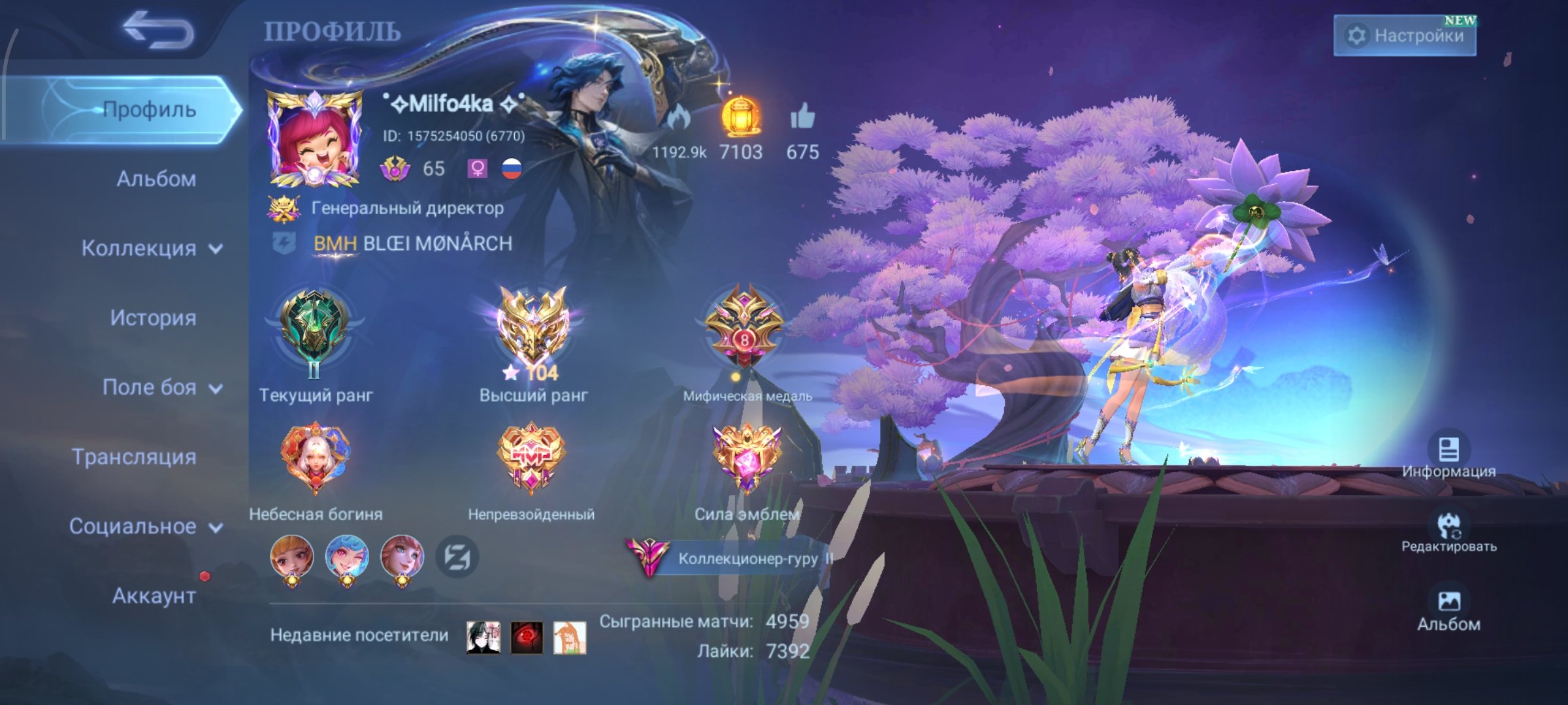 👑Account top 👑, Sale, Rank: Mythical Immortal, Level: 95, Winrate: 48%, Heroes: 113, Skins: 347