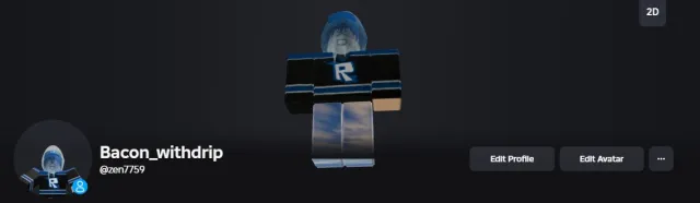 ROBLOX ACCOUNT 170K TOTAL DONATION ALL TOP GAMES for a boy, Sale, Voice chat: No
