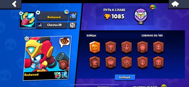 Exclusive skins, very fat account for your money, 1082 trophies, 30 brawlers