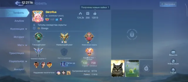Selling personal account, Sale, Rank: Epic, Level: 177, Win rate: 56%, Heroes: 133, Skins: 738