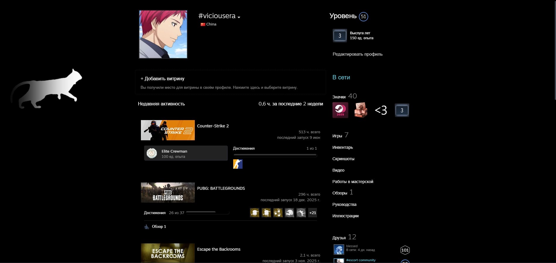 🖤51LVL STEAM🖤 A LOT OF GAMES🖤CS 2 MEDALS🖤A LOT OF THINGS IN PUBG🖤Native mail🖤, Sale, Empty, Yes PRIME, 15000 CS Rating, Competitive