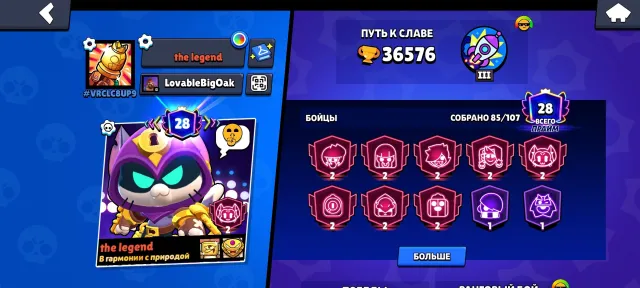 8 second primes, 36576 trophies, 85 brawlers, 28 primes