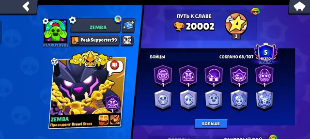 Selling a top Brawl Stars account, 20002 trophies, 68 brawlers, 5 primes