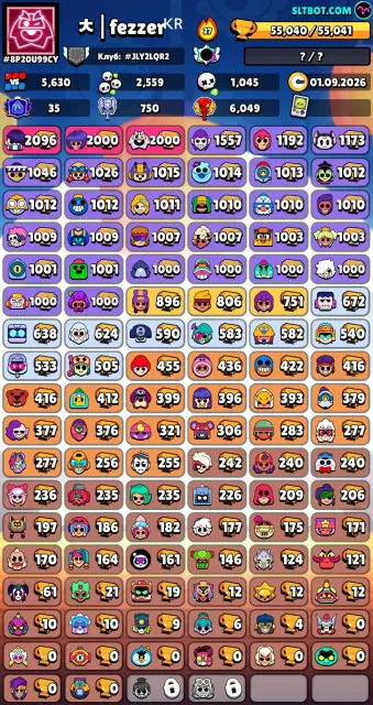account 2020 year, 55000 trophies, 104 brawlers, 32 primes