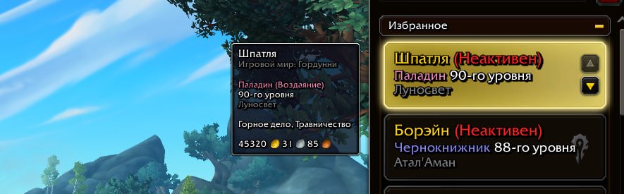 A ready-made account⭐️World of Warcraft®: Midnight Base Edition⭐️TR!, 90 level, Lightforged Draenei, Paladin